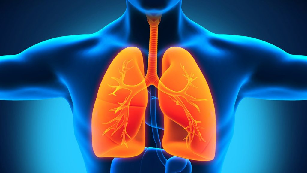 Research To Fight Deadly Lung Disease Gets Fund